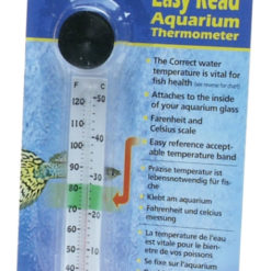 Animate Floating Thermometer