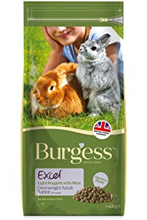 Excel Rabbit - Light Nuggets