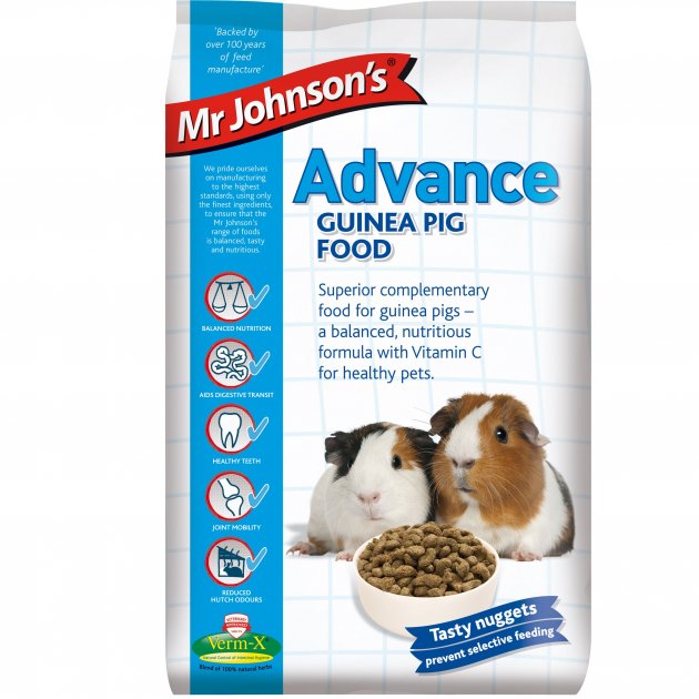 Mr Johnson's Advanced Guinea Pig