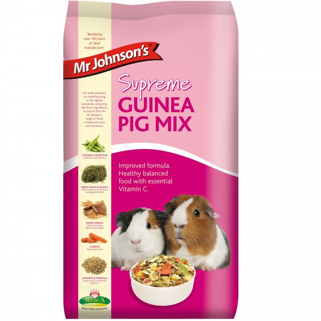 Mr Johnson's Guinea Pig