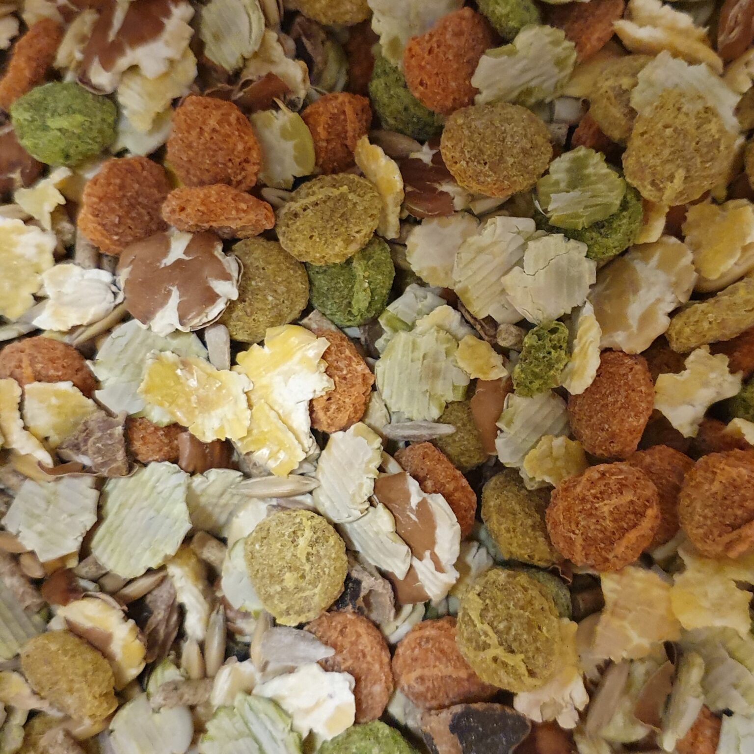 Image showcasing Guinea Pig Mix 1kg - Alan's Pet Shop