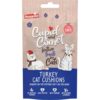 Cupid & Comet - Turkey Cat Cushions