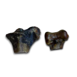 Anco Naturals - Ostrich Knuckle Bones