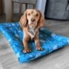 Ancol - Cooling Bed Small