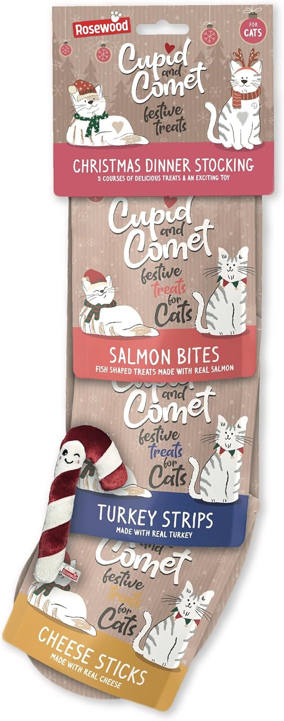 CatStockingNEW