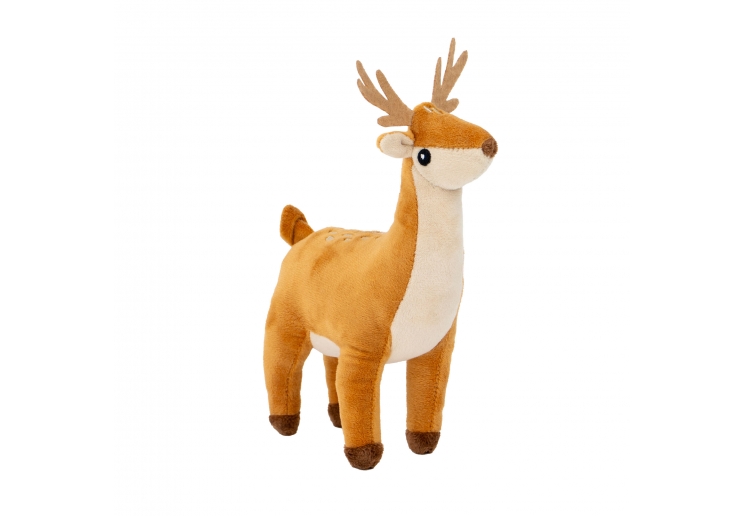 ancoldeer